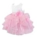 iiniim Baby Girls Princess Sleeveless Organza Tutu Dress Birthday Party Baptism Clothing Pink 12-18 Months