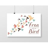 Free As A Bird A4 digital kunst drucken mauer dekor poster Kunstdrucke