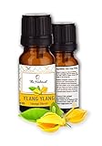 10 ml ámbar vidrio botella con goteador