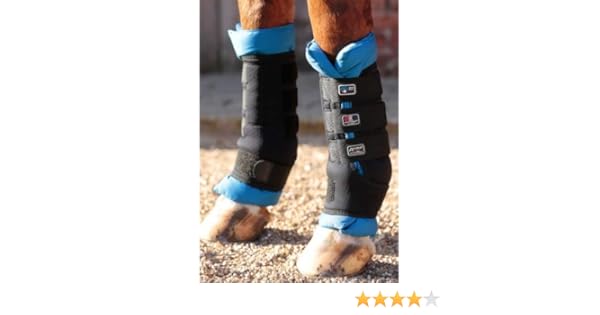 premier equine leg wraps