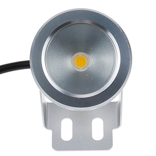 Bloomwin 12V 10W Warmweiß Teichlampen IP68 Poolbeleuchtung Teichbeleuchtung Unterwasserbeleuchtung für Teich, Brunnen, Pool, Gartenteich - 2