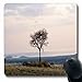 Produktbild Luancrop Mousepads für Computer Natürliche Natron Lake Tanzania Natur Field Horizon Scenic Design rutschfeste längliche Gaming-Mausunterlage