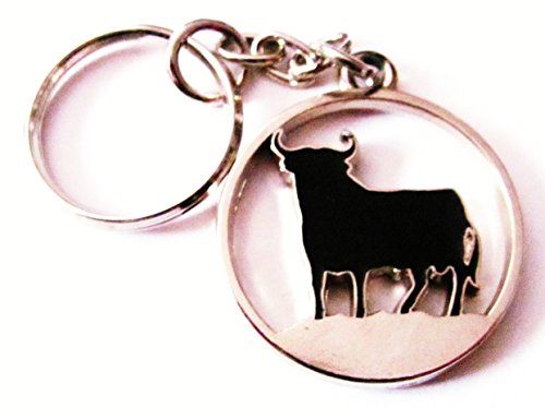 Preisvergleich Produktbild Osborne - Schlüsselanhänger #1