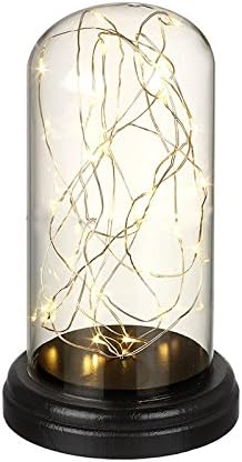 Glass Dome Lamp Bell Jar Display Dome Wooden Base String White Fairy Lights Bedside Table Lamp ideal for Decoration .