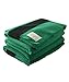 Produktbild Hudson Bay 6 Point Blanket, Green with Black Stripes by Woolrich
