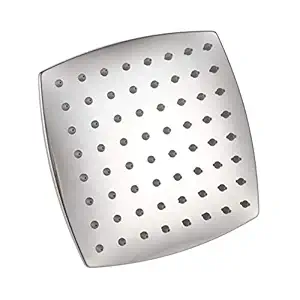 Aquieen 10 x 10 SS Shower Head Curve Heavy (250 x 250 mm)