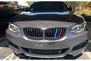 BizTech ® Clip In Grille Inserts Compatible with B M W 2 Series Coupe Convertible 2013-2017 F22 F23 8 Beams Stats Bars Bonnet Hood Kidney Stripes Cover