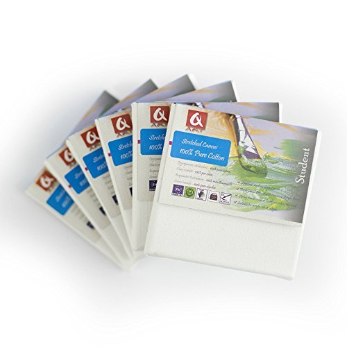 set of 6 x CANVAS 4x4 (10x10cm) ARTIST BLANK STRETCHED & GESSO PRIMED FRAMED COTTON CANVAS by Quantum Art