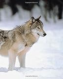 School Composition Book Winter Wolves Keep Watch 130 Pages: (Notebook, Diary, Blank Book) (Seasonal Winter Photo Composition Books Notebooks)