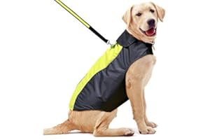 YFbrite Waterproof Dog Coat - Lightweight Pet Raincoat | Adjustable Warm Jacket | Dog Cloth for All Breeds Sizes (Green, Medium)