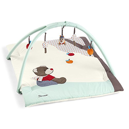 Sterntaler 9121729 Spielbogen Bobby, mehrfarbig