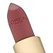 L'Oreal Paris Colour Riche Lipstick - Bois De Rose (Number 302)