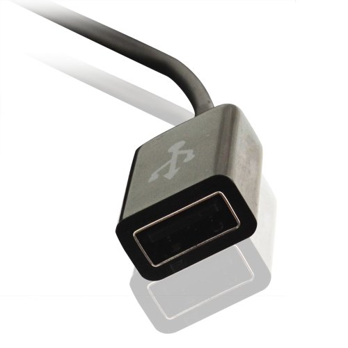 KanaaN Samsung Galaxy Tab USB – OTG Adapter mit Host-Modus – Galaxy Tab USB Female Kabel – für Galaxy Tab 7 Plus 7.7 8.9 10.1 10.1N Galaxy Tab 2 10.1 P5100 P5110, Galaxy Tab 2 7.0 P3100 - 5