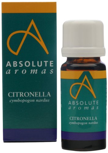Absolute Aromas Citronella Essential Oil