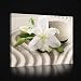 Produktbild FORWALL Leinwandbild Kunstdruck Wandbild Lilie auf Dem Sand O1 (100cm. x 75cm.) AMFPP2554O1 Gratis Wandaufkleber Canvas Picture Print Natur Pflanzen Blumen Strand Sand Lilie Stein Spa