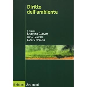 Diritto dell'ambiente
