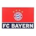 Produktbild FC Bayern Schreibtischauflage rot/blau