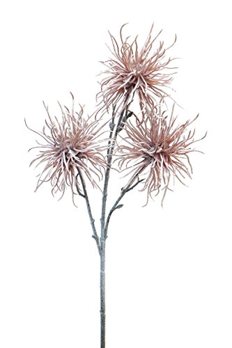 Preisvergleich Produktbild Nova Litschi Zweig, Altrosa