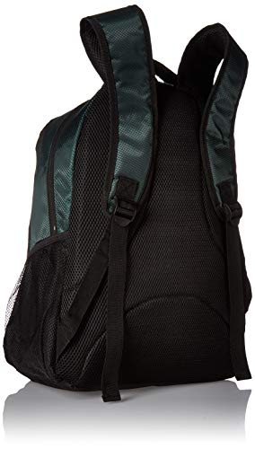 Forever Collectibles NFL Logo de l'équipe à Rayures Franchise Sac à Dos