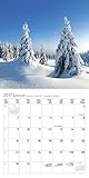 Image de Bäume 2017 Broschürenkalender: Broschürenkalender mit Ferienterminen