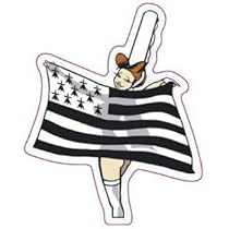 Bretagne Breizh N°29 Drapeau Autocollant Adhésif Sticker Logo 53