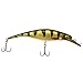 Produktbild Westin Platypus Wobbler suspending 12cm Cannibal Perch