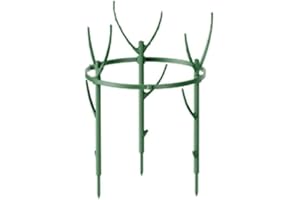 GLOBALHUT Jaulas de soporte para plantas de jardín, anillos de jaula de soporte para plantas, estacas de soporte para plantas de jardín, soportes de flores tipo arco, jaula de anillo redondo (una capa)