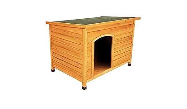 bunnings dog box