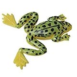 4 unds señuelos de pesca en forma de rana