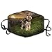 Produktbild Outdoor Mouth Mask with Design, Reusable Half Face Anti-dust Mask, Unisex Pet Dogs Sunrises and Sunsets Grass Schnauzer Mouth Face Masks Women Cool Motorcycle Anti Dust Face Mouth Mask-Reusable Mens