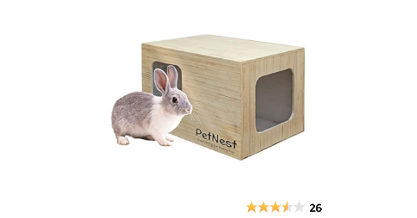 rabbit online purchase