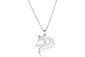 ShiQiao Spl Collier Loup Pendentif Animal Bijoux Homme Cadeau D'anniversaire Ado Garçon Collier Inoxydable