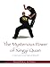 Produktbild The Mysterious Power of Xingyi Quan: A Complete Guide to History, Weapons and Fighting Skills