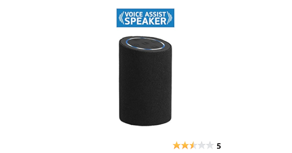 xech voice assistant speaker price