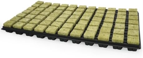 Florateck Roche Grodan Wool End Plug Tray 77 U