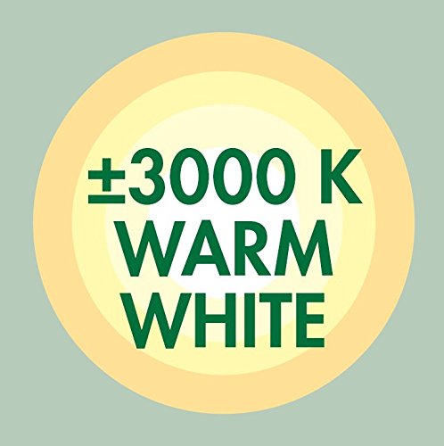 Ranex 5000.472 LED Akku Tischlampe/ Tischleuchte, spritzwassergeschützt, 2 Helligkeitsstufen - 5
