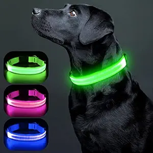 Colaseeme LED Dog Collar Light Up Dog Collars Micro USB Rechargeable Adjustable Nylon Webbing Plastic Buckle D Ring Glow Safety Basic Dog Collars for Dogs [Green, L-(21.2''-26''/54-66 cm)]