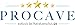 Procave Micro Comfort Mattress Protector with Stretch Hem, Fabric, White, 160 x 200 cm