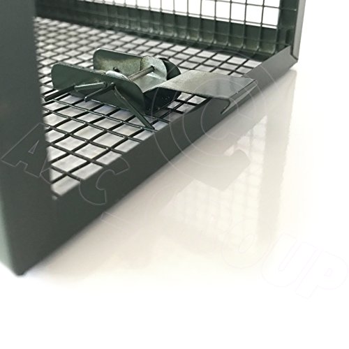 ASC – Rattenfalle Metall Ratte Traumfänger – menschlichen ohne Killing – wiederverwendbar anti-parasites Falle - 4