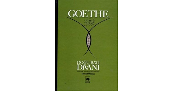 Dogu Bati Divani Johann Wolfgang Von Goethe Amazon De Bucher