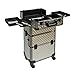 Trolley 2 Wheel Pilot's Case 60L 3-D Surface Alu Frame Suitcase - Beauty Case - Z: 4Rad - champagne