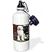 Produktbild statuear Old English Sheepdog Aluminium 20 Unze 600 ml Sports Wasser Flasche Geschenk