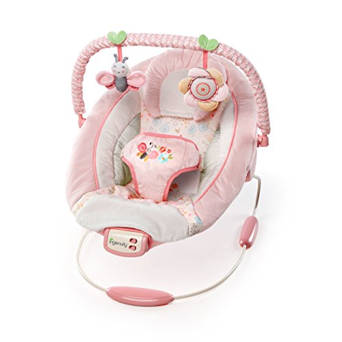 Ingenuity 60505 Cradling Bouncer - Felicity Floral
