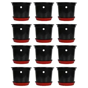 Kraft Seeds Gamla/Planter/Pot (Black) with Bottom Plate/Tray (Terracotta) (6 inch, 12 Pieces)