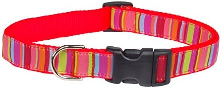 Sassy Dog Wear S013-CXS Lime/Coral Stripe Dog Collar, X-Small