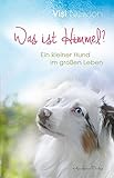 Image de Was ist Himmel?: Ein kleiner Hund im großen Leben