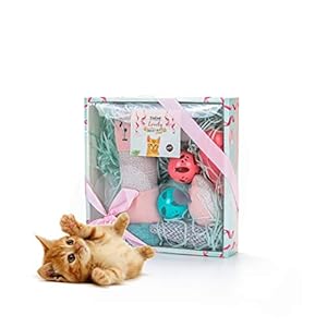 Vealind Juguete Interactivo para Gatos, Colección de Juguetes para Gatos, en Hermosa Caja de Regalo