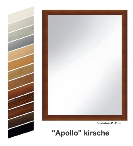 Rahmen nach Maß S10074561K Spiegel "Apollo" kirsche dekor komplett mit Echtglas, 45 x 61 cm