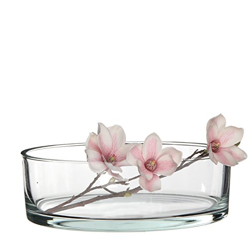 Mica decorations 1013015 Schale, Glas, transparent, 25 x 25 x 8 cm