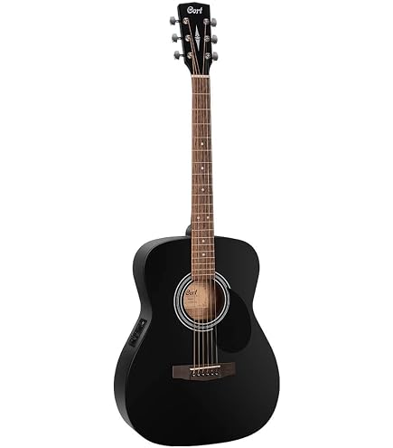 Washburn EA12B Mini Jumbo Elektro Akustik Gitar : Amazon.com.tr